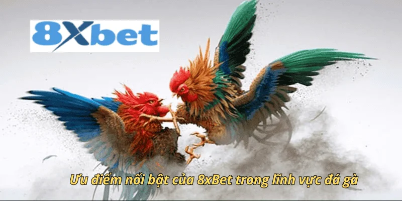 Ưu điểm nổi bật của 8xbet trong lĩnh vực đá gà