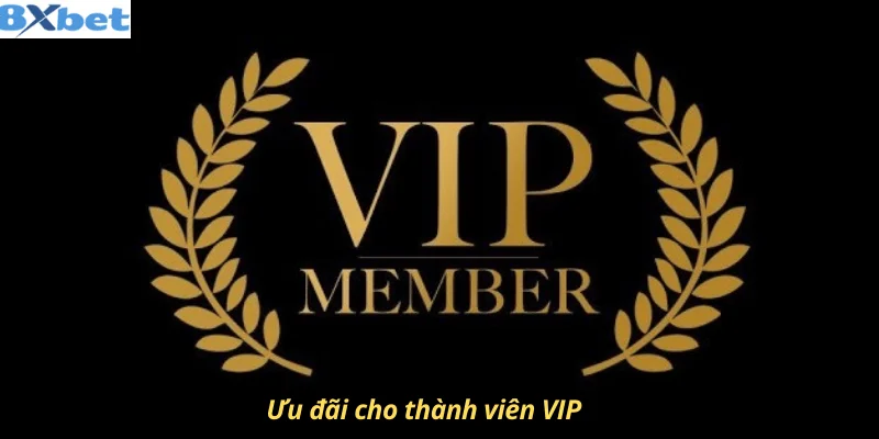 Ưu đãi cho thành viên VIP