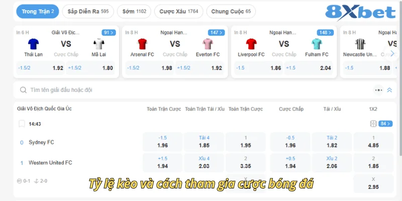 Các loại kèo thể thao tại 8xbet